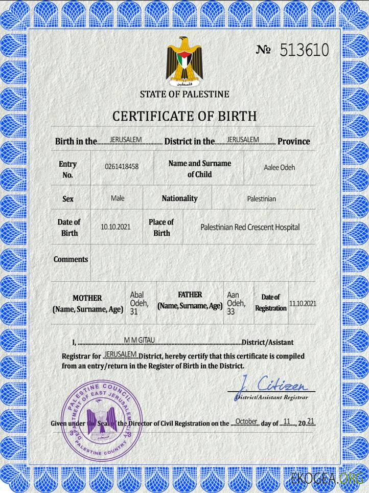 Modèle PSD de certificat de naissance de l'état civil de la Palestine